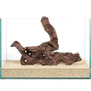 _@plEbh@45cmp@859938@֓