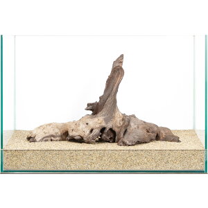 _@plEbh@45cmp@859940@֓