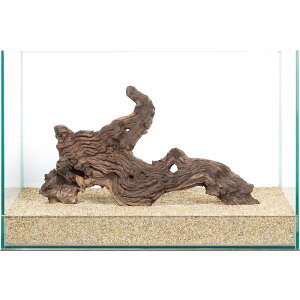 _@plEbh@45cmp@859947@֓