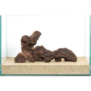 _@plEbh@45cmp@859949@֓