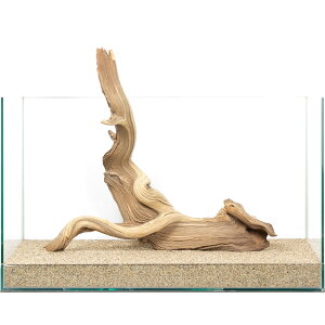 ��_���@�S�[�X�g�E�b�h�@60cm�����p�@859976�@�֓�������