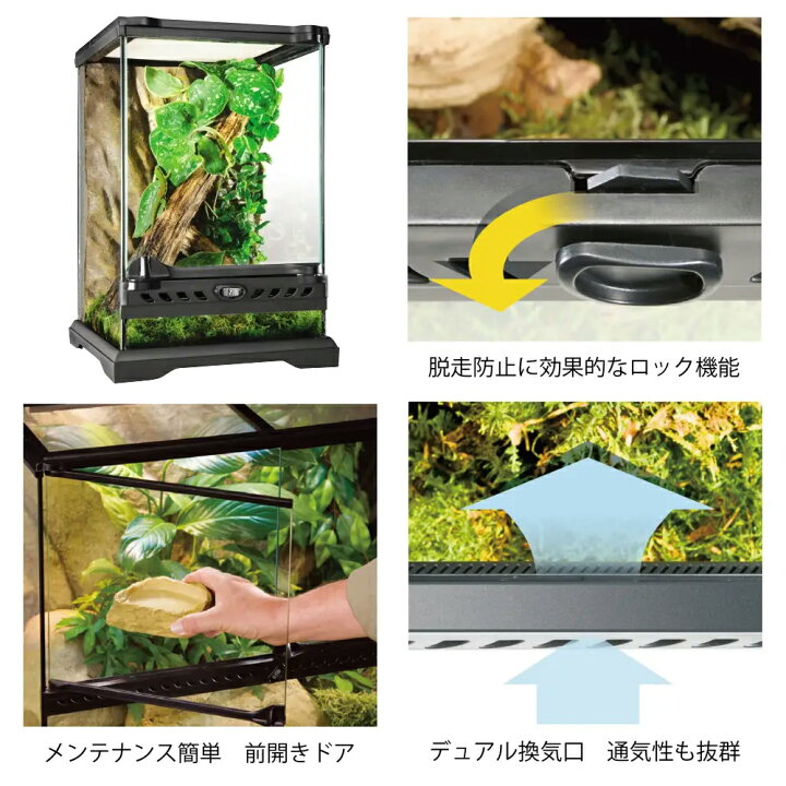楽天市場】爬虫類ケージ GEX エキゾテラ グラステラリウム ナノ 