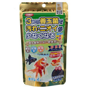 Rbg@̎H@[ہ@@90g@̂@̉a@֓