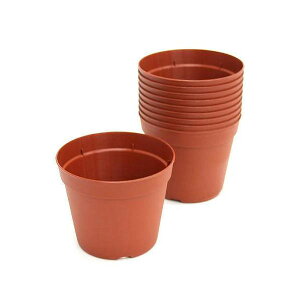 @v|bg@10D5cm@@^Cv@10Zbg@֓