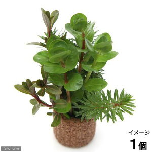 ijCt}`ij^~bNXitji_ji1j