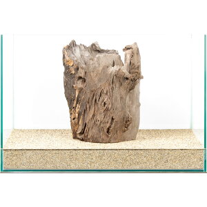 _@X^vEbh@45cmp@880003@֓