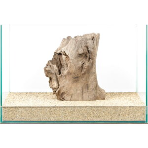 _@X^vEbh@45cmp@880004@֓