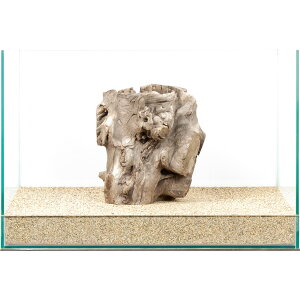 _@X^vEbh@45cmp@880005@֓