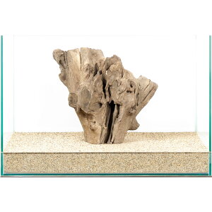 _@X^vEbh@45cmp@880006@֓