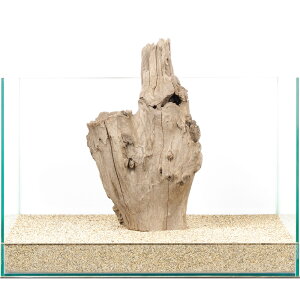 _@X^vEbh@45cmp@880010@֓