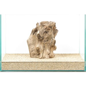 _@X^vEbh@45cmp@880018@֓