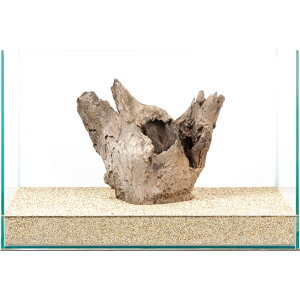 _@X^vEbh@45cmp@880019@֓