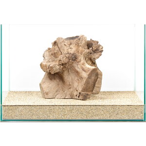 _@X^vEbh@45cmp@880020@֓