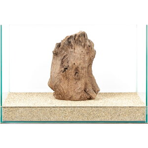 _@X^vEbh@45cmp@880023@֓