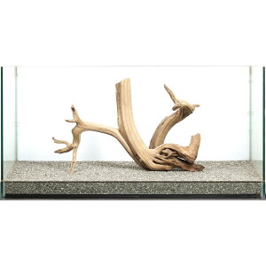 _@㎿؁@T@^p@880033@֓