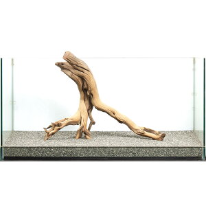 _@㎿؁@T@^p@880037@֓