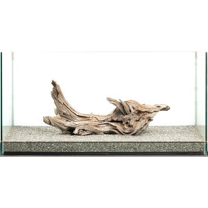 _@S[XgEbh@^p@880041@֓