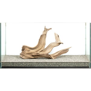 _@S[XgEbh@^p@880043@֓