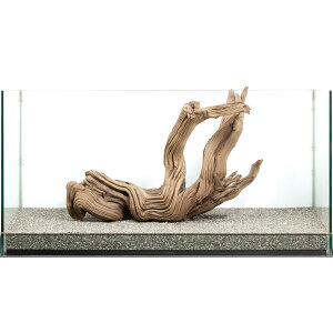 _@S[XgEbh@^p@880046@֓