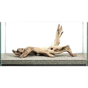 _@S[XgEbh@^p@880048@֓