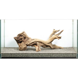 _@S[XgEbh@^p@880057@֓