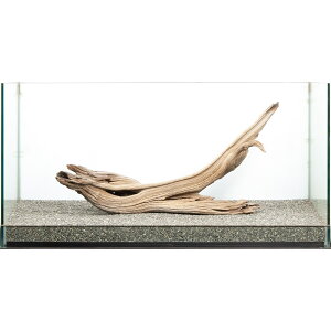 _@S[XgEbh@^p@880061@֓