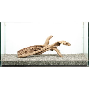 _@S[XgEbh@^p@880063@֓