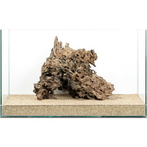 ��_���@60cm�����p�@�n�j�J���E�b�h�@880084�@�֓�������