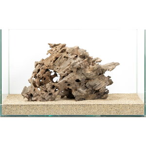 ��_���@60cm�����p�@�n�j�J���E�b�h�@880092�@�֓�������