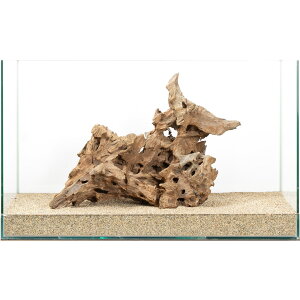 _@60cmp@njJEbh@880093@֓