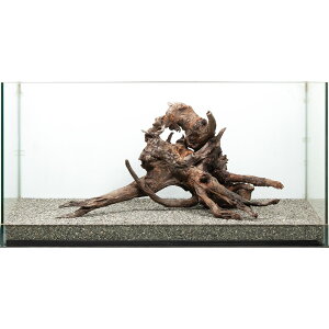 _@htgEbh@^p@880153@֓