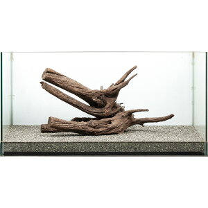 _@htgEbh@^p@880155@֓