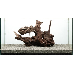 _@htgEbh@^p@880161@֓