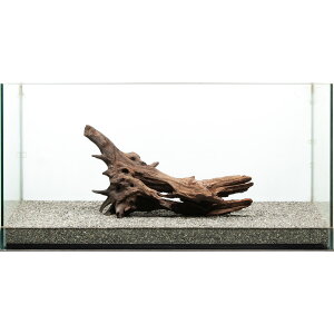 _@htgEbh@^p@880164@֓