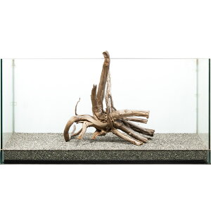 _@WAEbh@^p@880173@֓