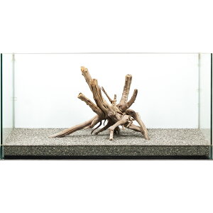 _@WAEbh@^p@880174@֓