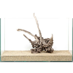 ��_���@�f�B�A�[�z�[���E�b�h�@60cm�����p�@880183�@�֓�������