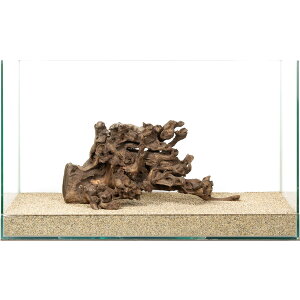 _@TSEbh@60cmp@880201@֓