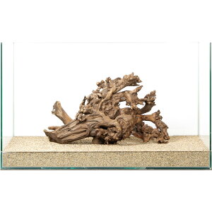 _@TSEbh@60cmp@880208@֓