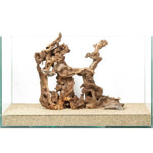 _@TSEbh2{Zbg@60cmp@880220@֓