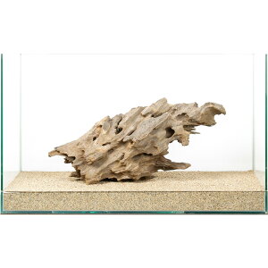 _@njJEbh@60cmp@880228@֓