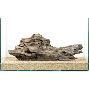 ��_���@�n�j�J���E�b�h�@60cm�����p�@880229�@�֓�������