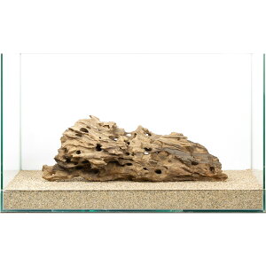 _@njJEbh@60cmp@880233@֓