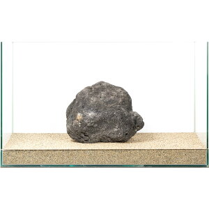 ��_���@���n��΁@�e�΁@60cm�����p�@880240�@�֓�������