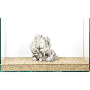 _@[x΁@e΁@60cmp@880248@֓