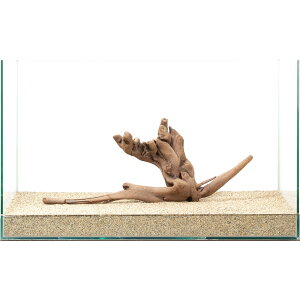 _@㎿؁@@60cmp@880266@֓