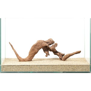 _@㎿؁@@60cmp@880267@֓