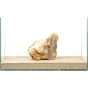 _@؉΁@e΁@60cmp@880271@֓