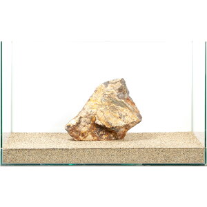 _@؉΁@e΁@60cmp@880274@֓