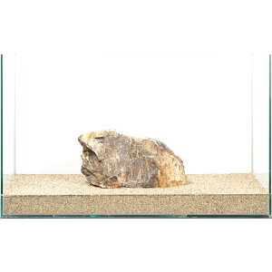 _@؉΁@e΁@60cmp@880276@֓